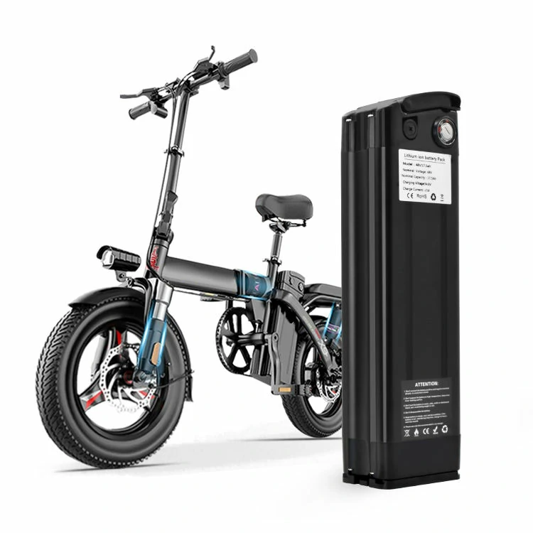 24V 36V 48V Silver Fish Electric Bicycle Battery