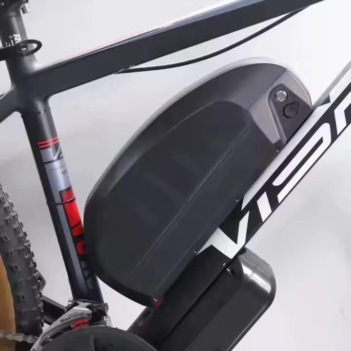Best 48v 60ah ebike battery 