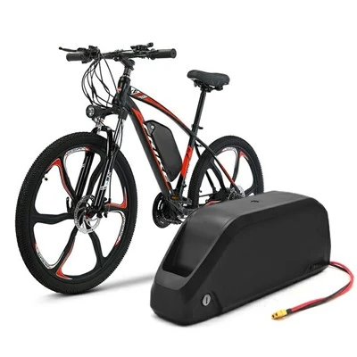 Polly Down Tube Ebike Battery